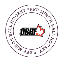 Rep Ball Hockey - 2013 Hamilton Minor Ball Hockey League - Spring