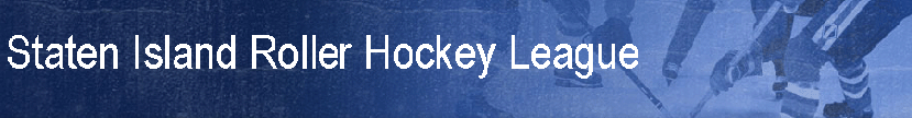 Staten Island Hockey - MEN'S B DIVISION (TUESDAY NITES)